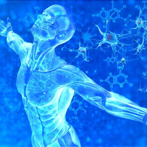 full-body-rejuvenation-small-31432ca2e712f7365ee36dc4116739dc
